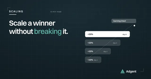 How to scale a winner without breaking it